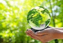 विश्व पर्यावरण दिवस 2025: अब बदलाव मेरे और आपके हाथ में है