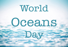 विश्व महासागर दिवस